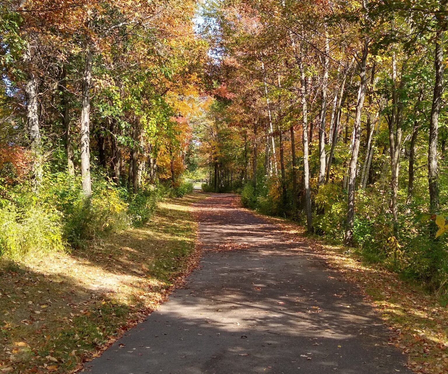 Trails for Hikes, Bikes, Snowmobiles, ATVs Visit Rice Lake, WI