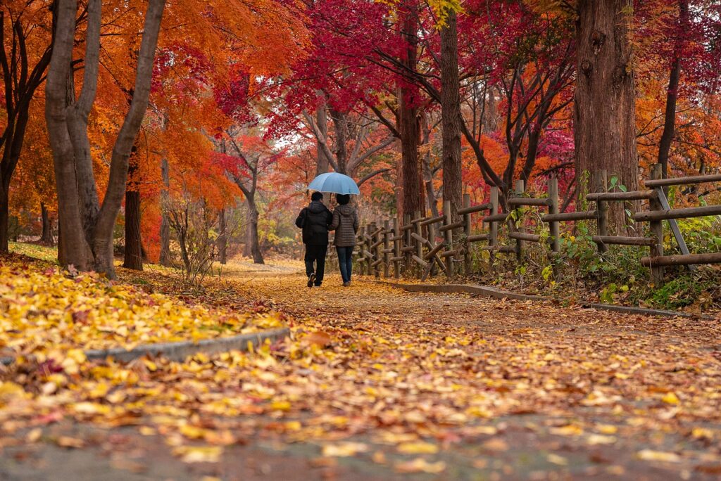 couple in the park in autumn