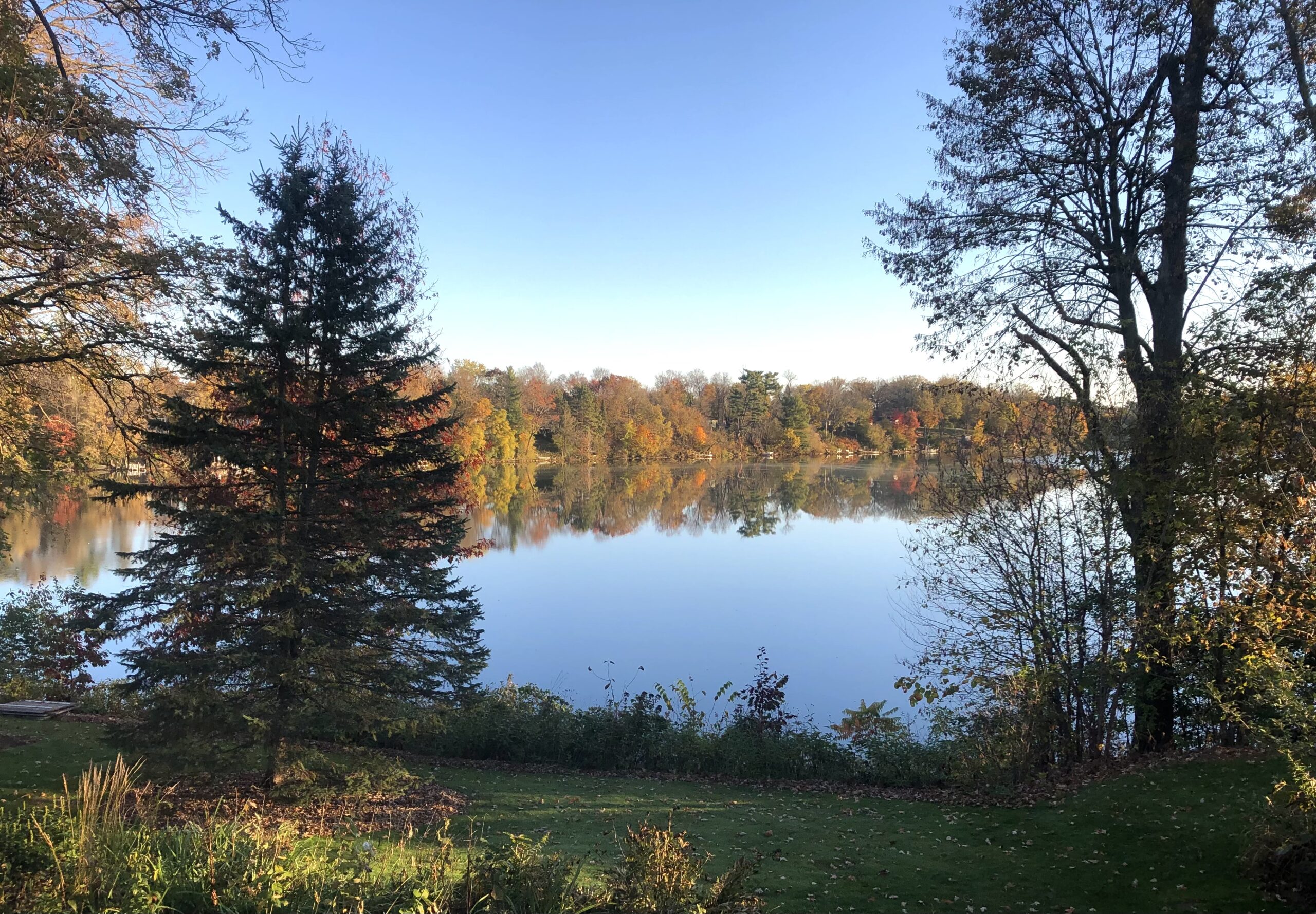 A view of Rice Lake from the shoreline.