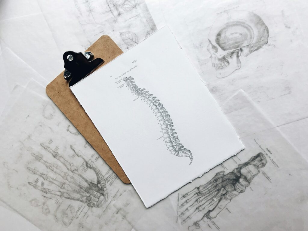 brown and black clipboard with white spinal cord print manual chiropractor