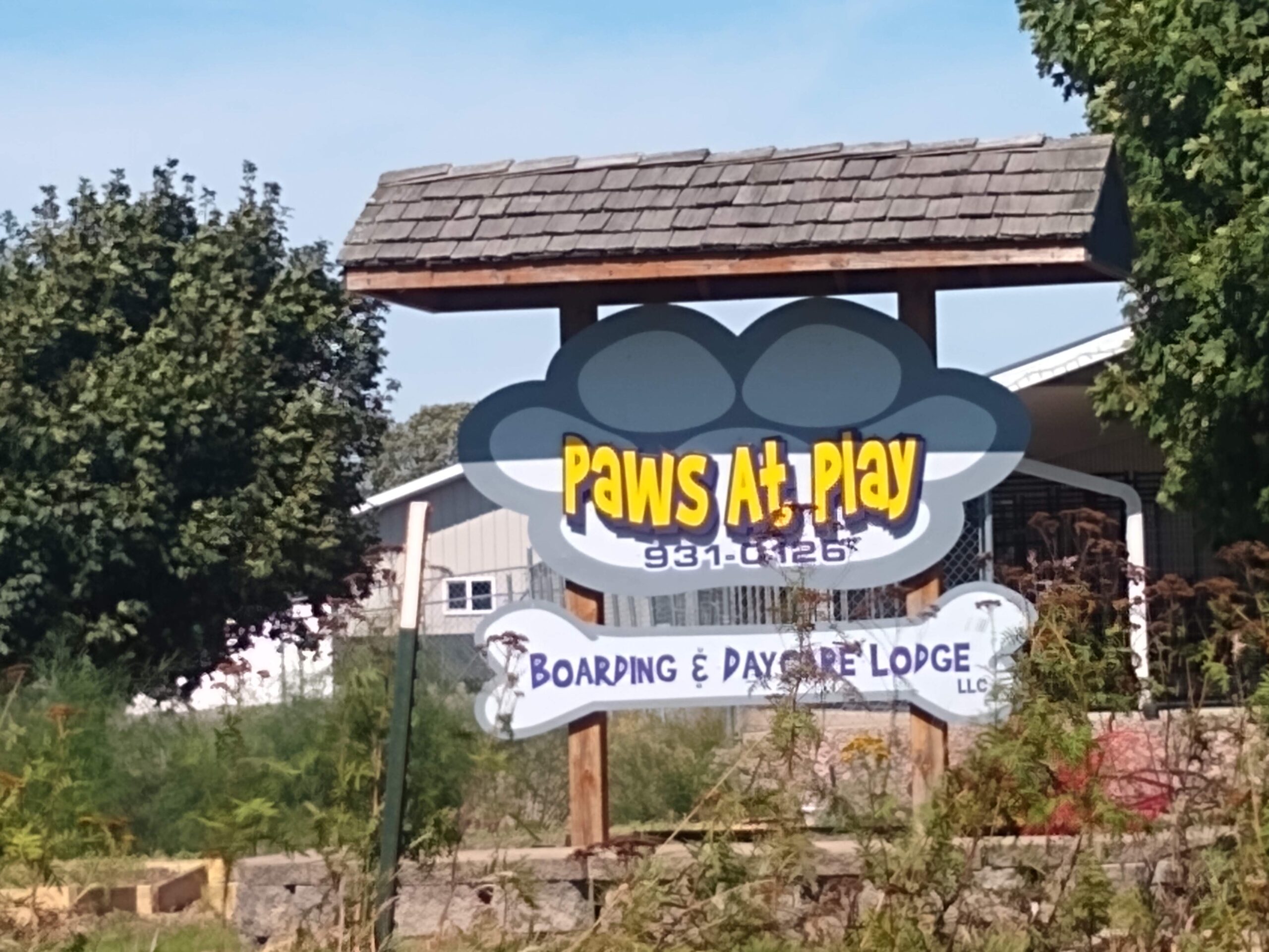 paws at play sign